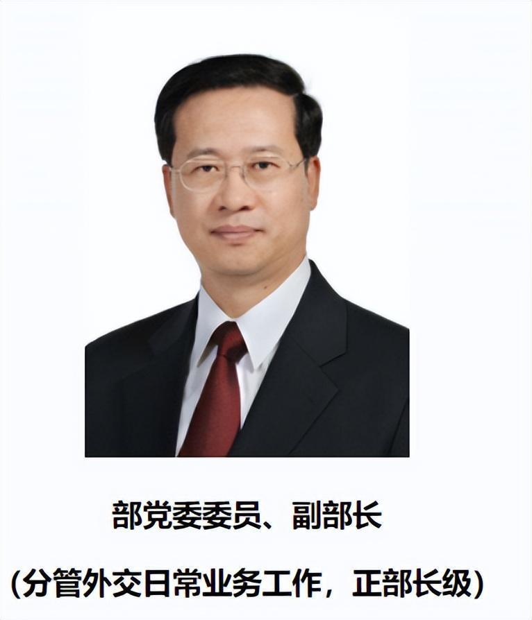 领导栏中,张骥是纪监委驻外交部的官员.