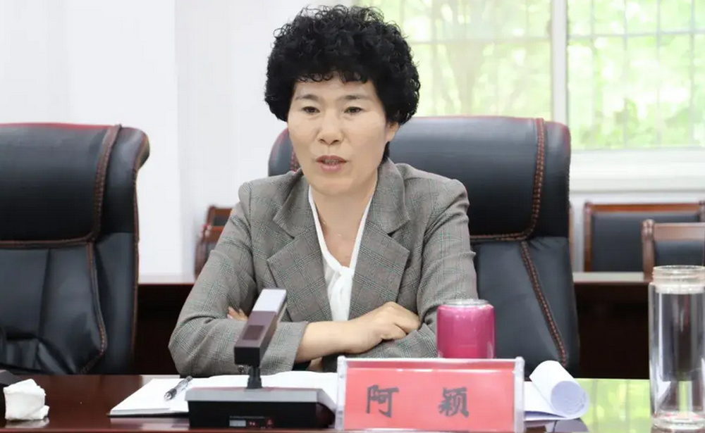 河南省南陽市副市長阿穎，接受監察調查