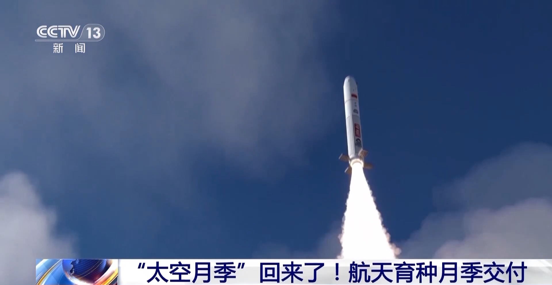 “太空月季”回來了！首批航天誘變月季種子交付南陽