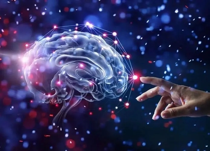 人类的大脑在变大!我们会变得更聪明吗?还有其他影响吗