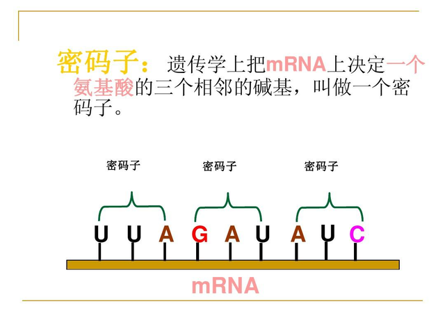 印度一地突发暴力事件！已致54人死亡用ps做网页设计教程2023已更新(头条/今日)