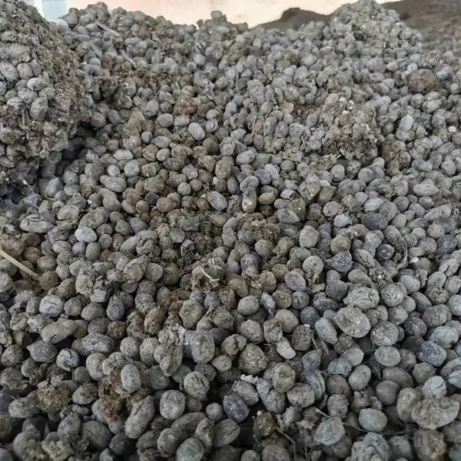 羊粪是个宝，但是使用时有“3忌”，用错后果很严重，看完明白_腾讯新闻