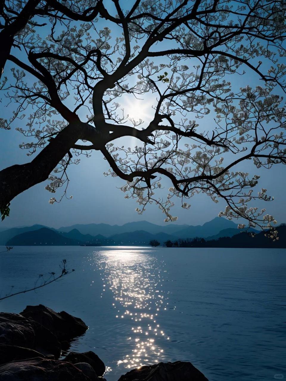 14首《花间集》里的轻柔软语诗词:首首风情万种