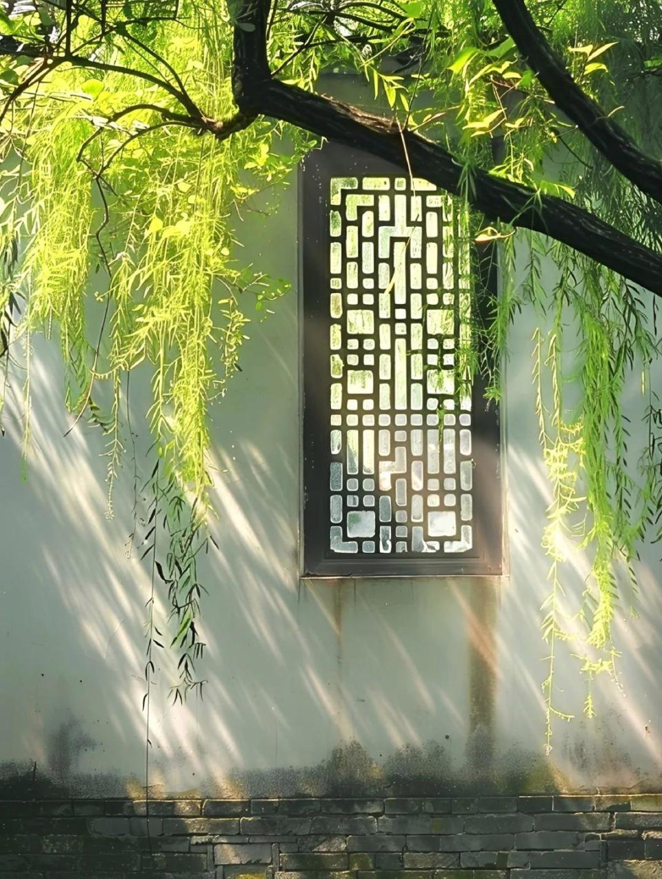 苍苍竹林寺,杳杳钟声晚.36句竹林美景诗句:所到之处明净透彻