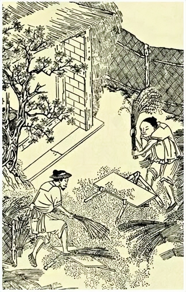 300多年前，连一株水稻都没有的东北，为何会变成我国的粮仓_腾讯新闻