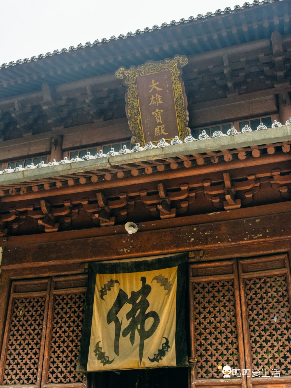 台州国清寺1400年的隋梅隋塔犹在不收门票毫无商业化痕迹