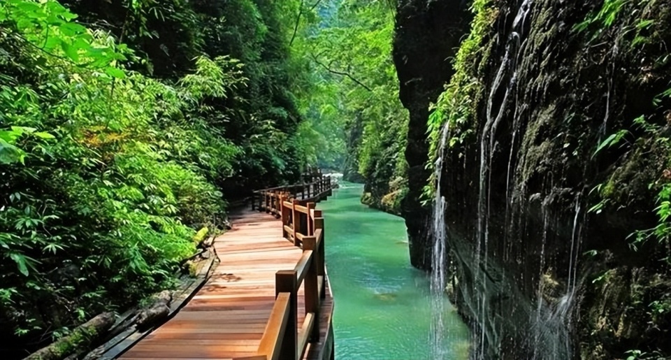 夏天的重庆人都去哪避暑了?这7处消夏胜地非常受欢迎