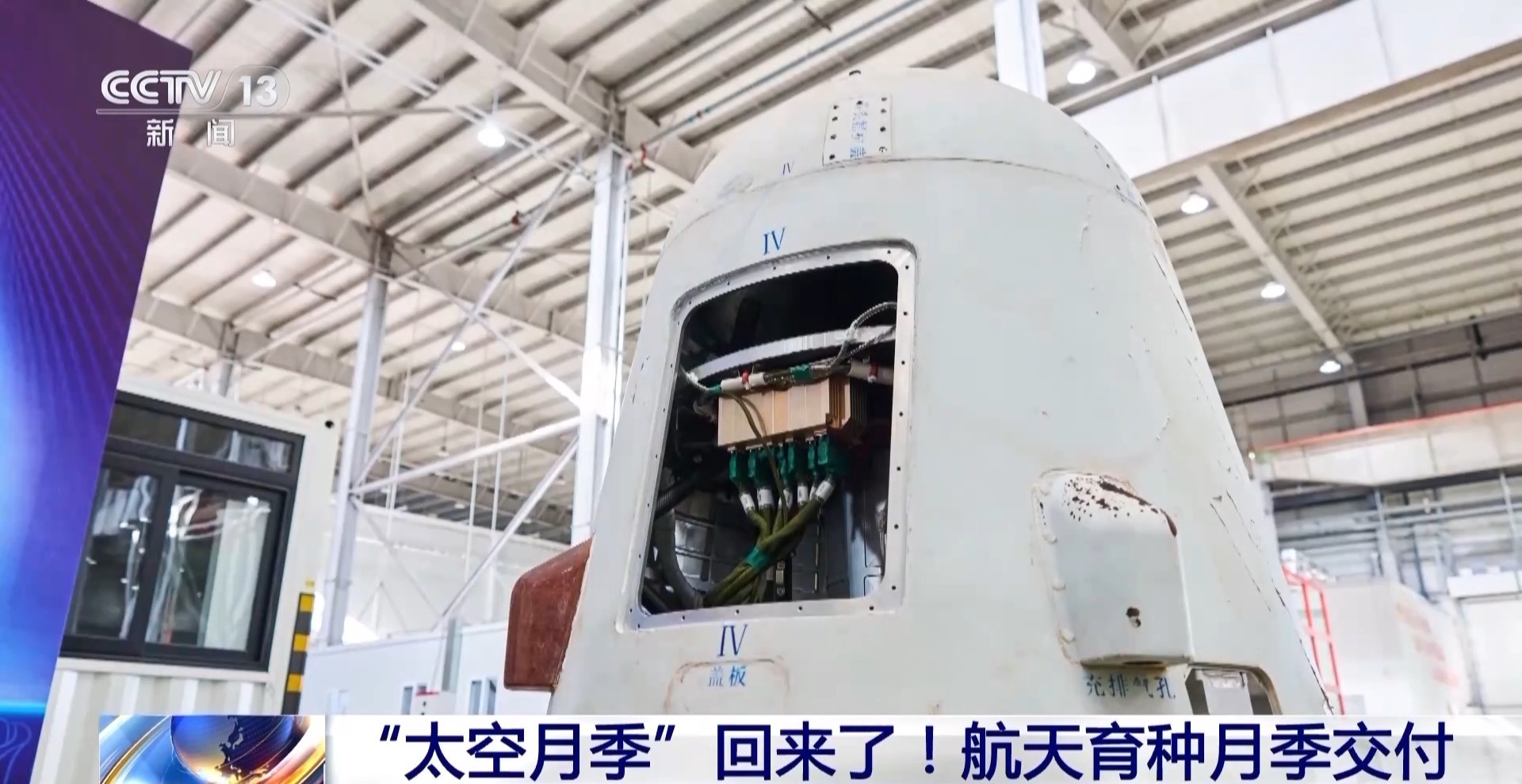 “太空月季”回來了！首批航天誘變月季種子交付南陽 - 