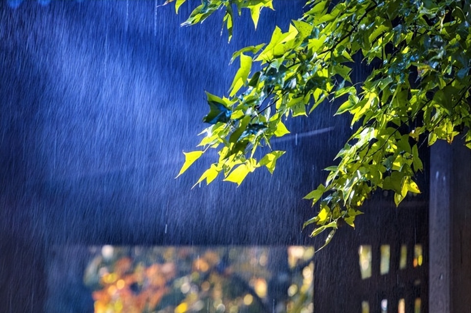 老话说"早梅旱断伏,晚梅雨生寒",今年梅雨季,来的早还是晚?