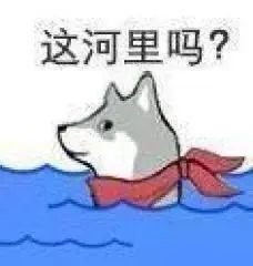 641