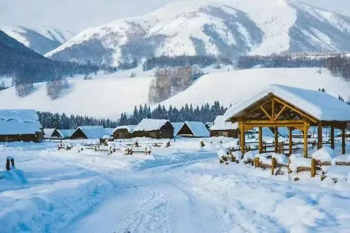 2025新疆青年科學探索招募丨共赴天山、阿勒泰，探索數字冰川保護新路徑 - 