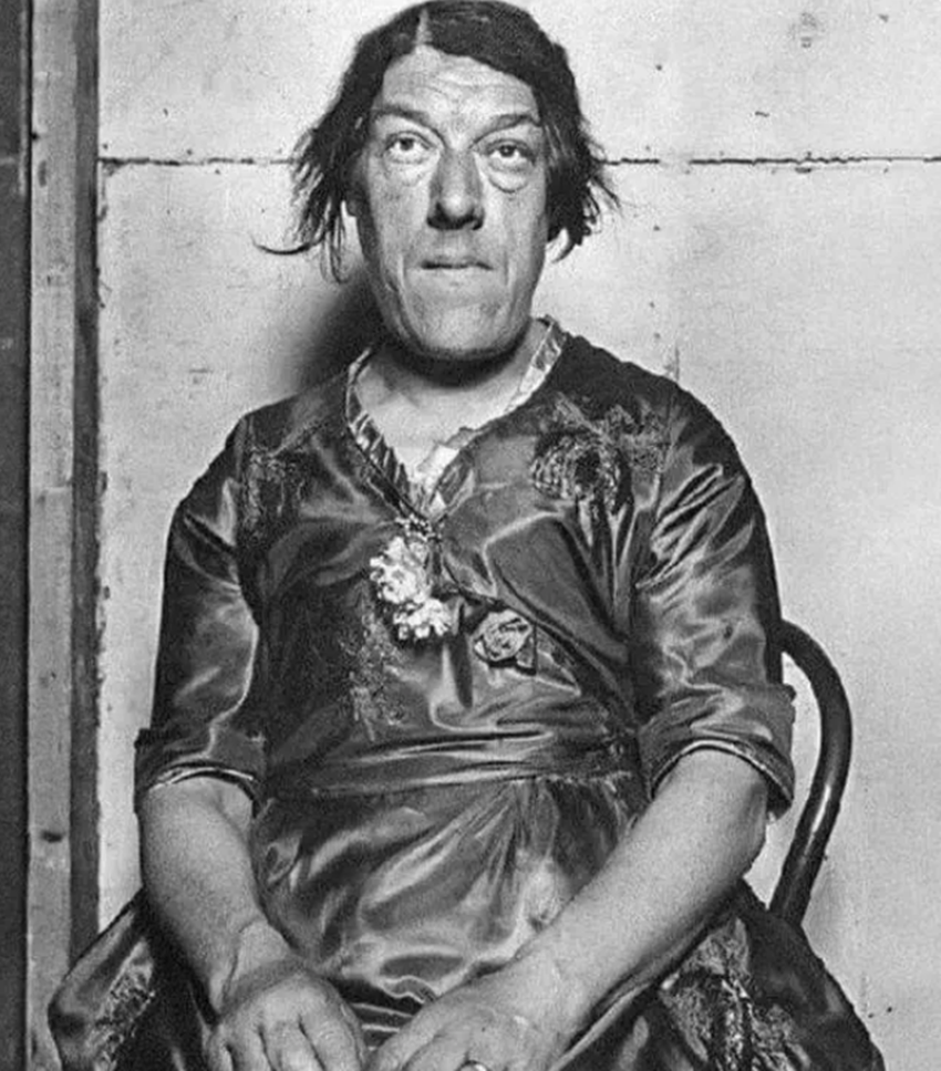 这时,马戏团的老板巴纳姆找到了玛丽,希望玛丽能到他的马戏团表演节目