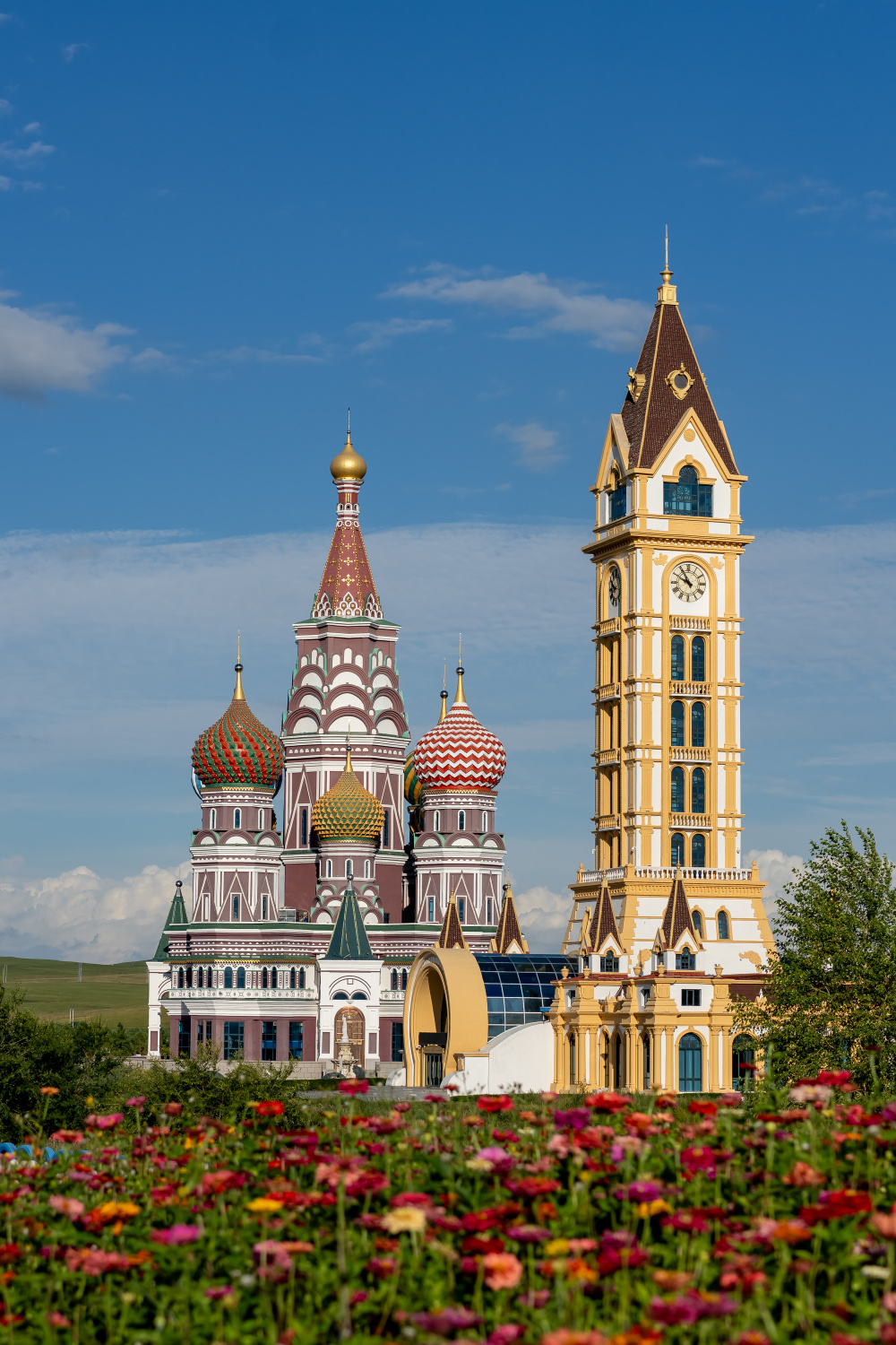 旅行路上的意外惊喜