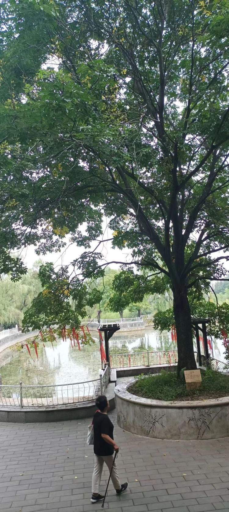 再游楼观台,看了这广场气势,场面,不免感叹(2)