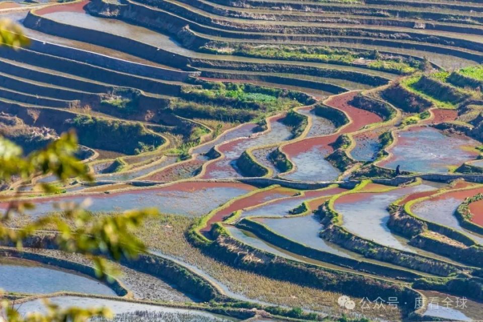 红河哈尼梯田:云南的隐藏宝藏,等你来发掘!