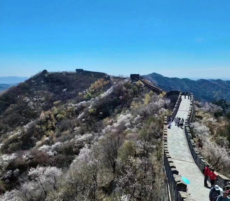 霍启刚全家游故宫爬长城，首次曝光幺女容貌，三个孩子颜值都很高_腾讯新闻