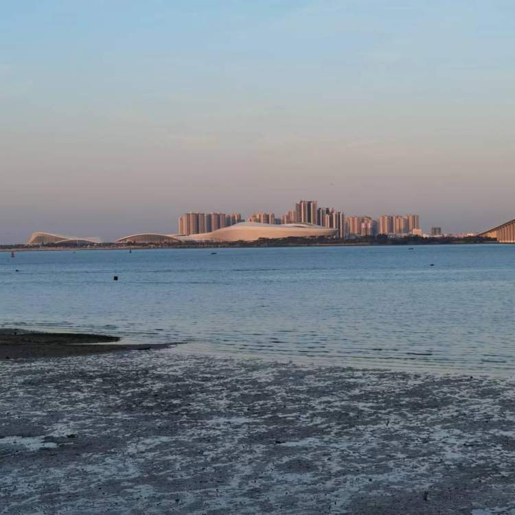 湛江过大年 | 海湾大桥.第一长滩_腾讯新闻