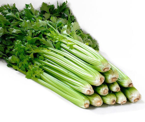 “入秋排毒，一年不堵”！3种“黄金菜”现在正当时，鲜嫩便宜，错过等一年_腾讯新闻
