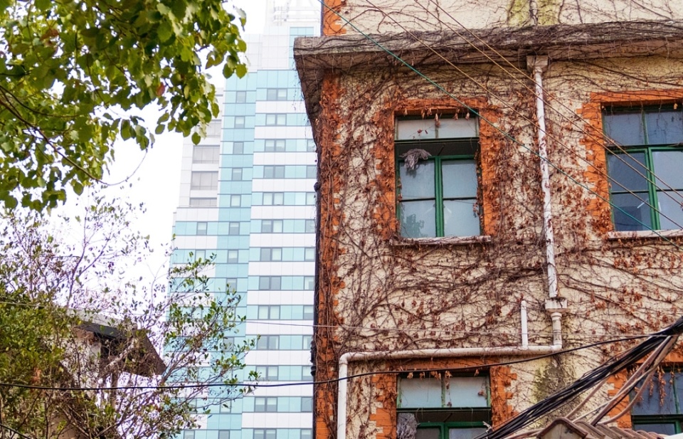 �����ˣ����š�����С�����Ϻ�������