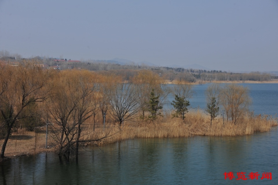 3月2日,淄博文昌湖湿地公园,初春的湖水绿如蓝,天鹅在湖中央休憩,湖边