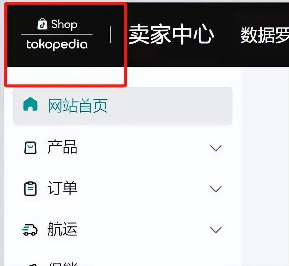 Tiktok页面图片