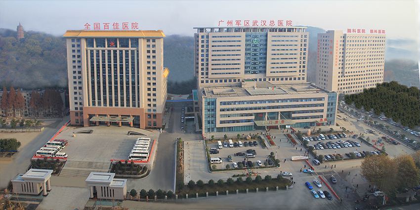 军队医院现状如何?分别移交联勤保障部队,军兵种,融通集团_腾讯新闻