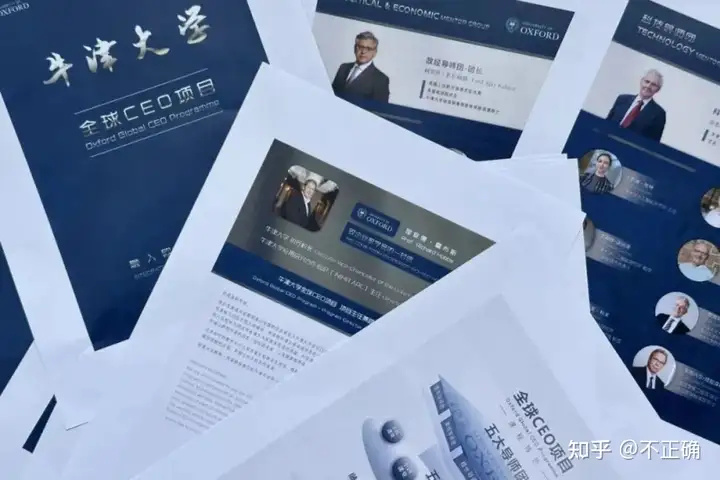 �й�CEO�ǵ�ţ���� Ϊ��һ�ؼ�ë��