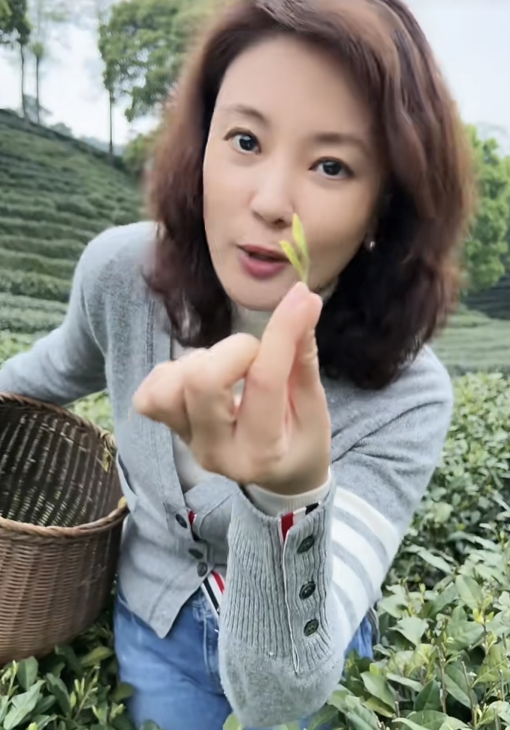 央视美女主持刘芳菲素颜曝光,皮肤白嫩紧致,46岁仍单身感情成谜_腾讯