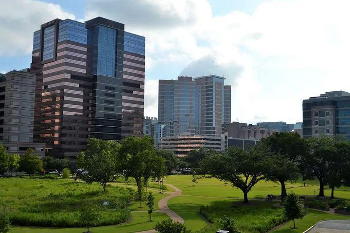 花粉柳絮惹人嫌但并不存在完美绿植，北京城市绿化率曾靠它们翻了38倍内容是什么-313啦实用网