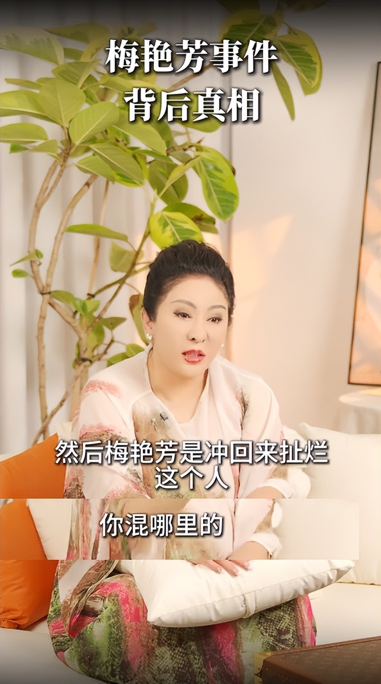 向太首次公布梅艳芳惹怒黑帮细节，梅艳芳吓哭求救，陈岚被枪指头（组图） - 10