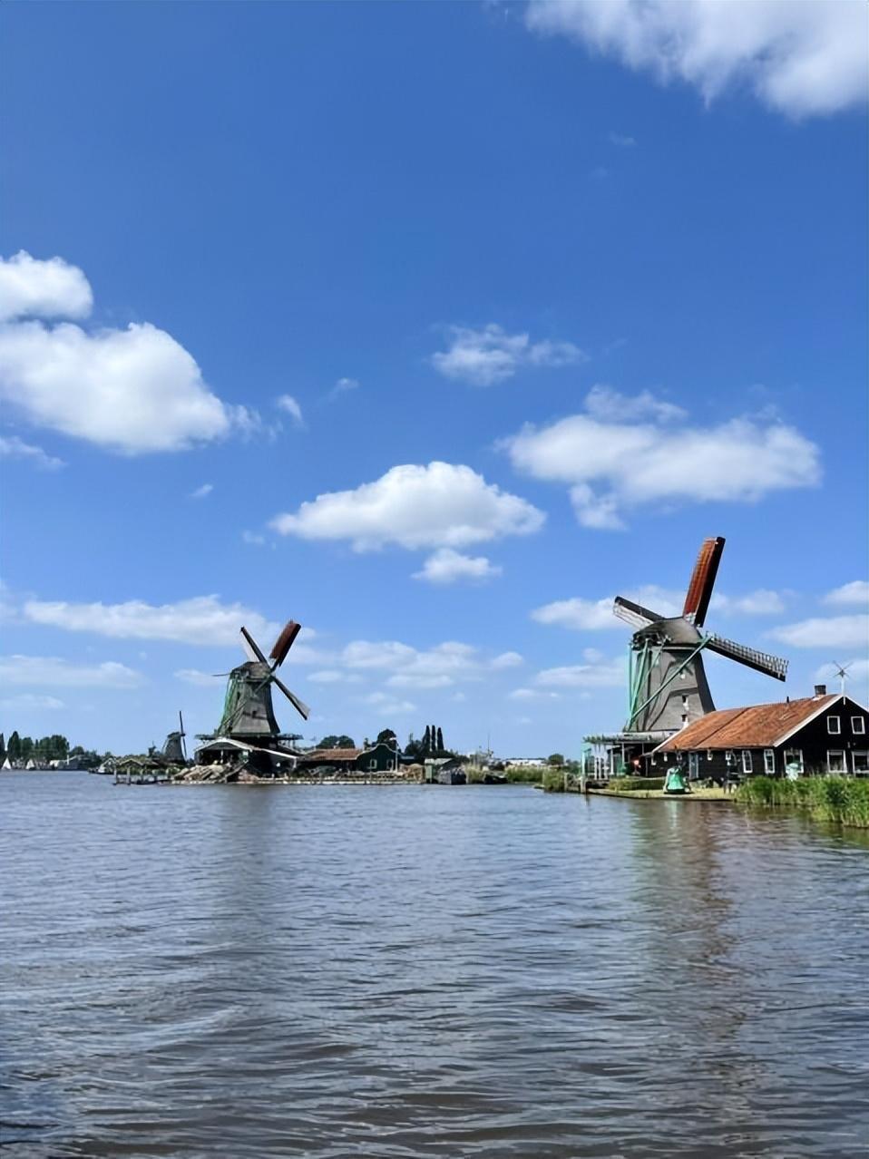 我在荷兰生活7年,入职名企,一年半升职两次却不满足,二次读硕