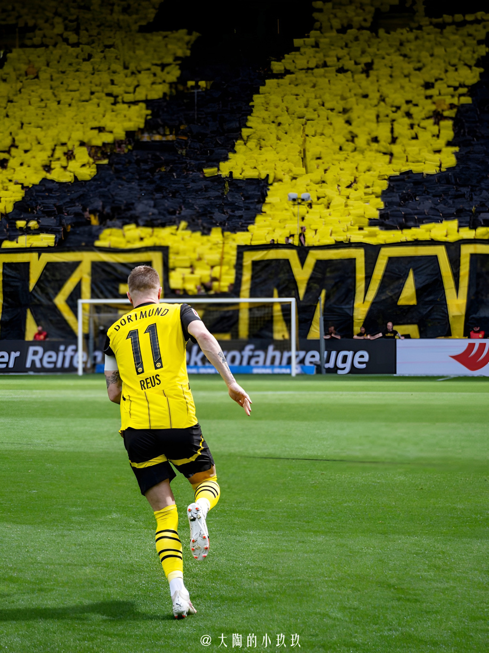 罗伊斯,威斯特法伦球场永远的传奇