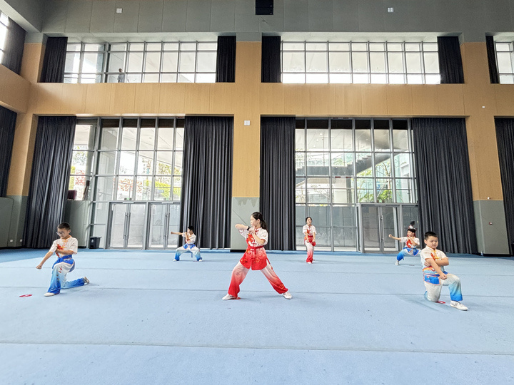 这所乡村小学在国际传统武术盛会上大放异彩,勇夺22枚金牌