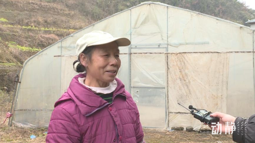 绥阳县坪乐镇村民杨东群绥阳县坪乐镇村民杨东群说:"有专家来指导育苗