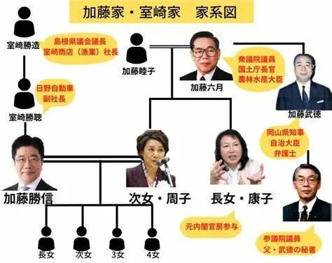 他是日本政治豪门挑选的赘婿,油腻平庸,野心很大,正在争抢首相宝座