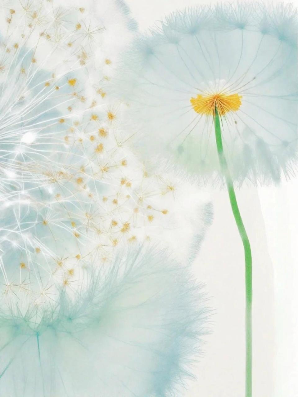 40句对偶诗句:清新曼妙,背下来,人与自然马上浑融一体