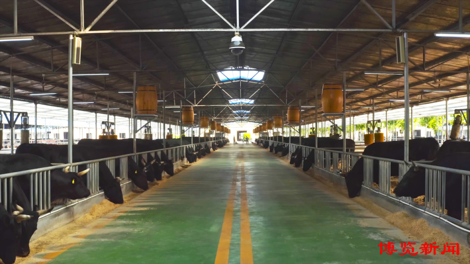 高青:品牌化建设助推农业产业升级