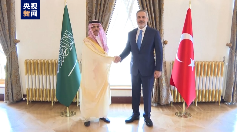 土耳其外长敦促向以色列施加更多压力