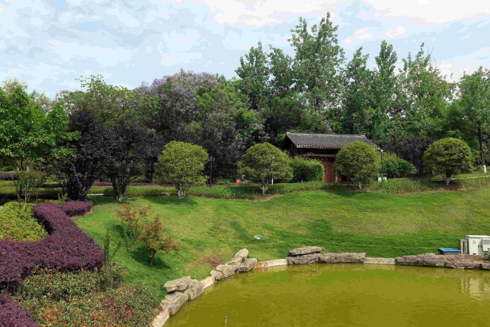 重庆巴南龙洲湾公园深受游客欢迎