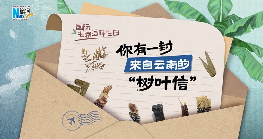 [南方生姜网-图片加载]