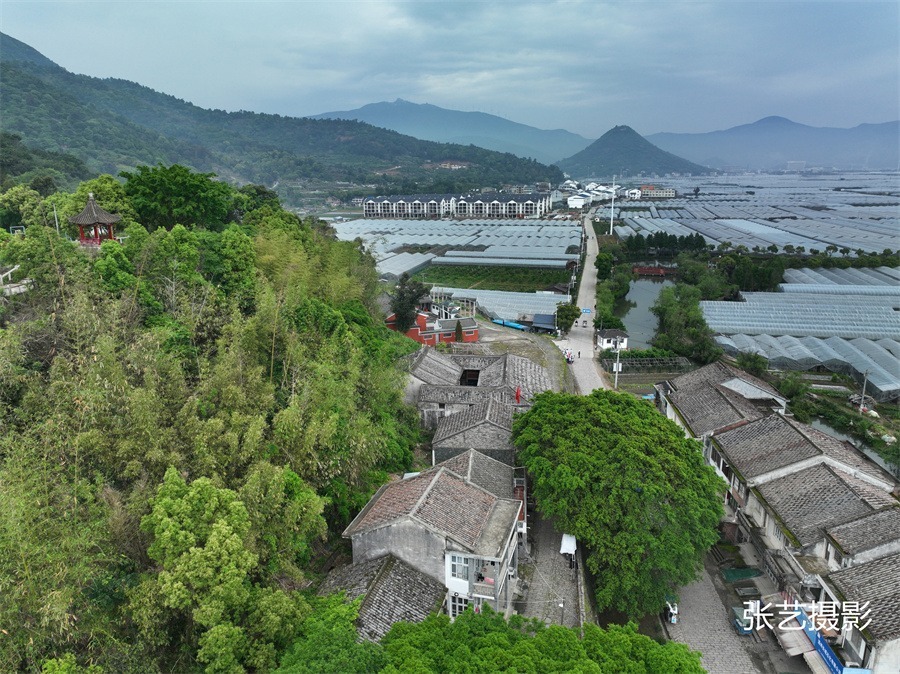 清光緒年間(1736~1796年),蒲壯所成的經濟,文化及人口發展進入鼎盛