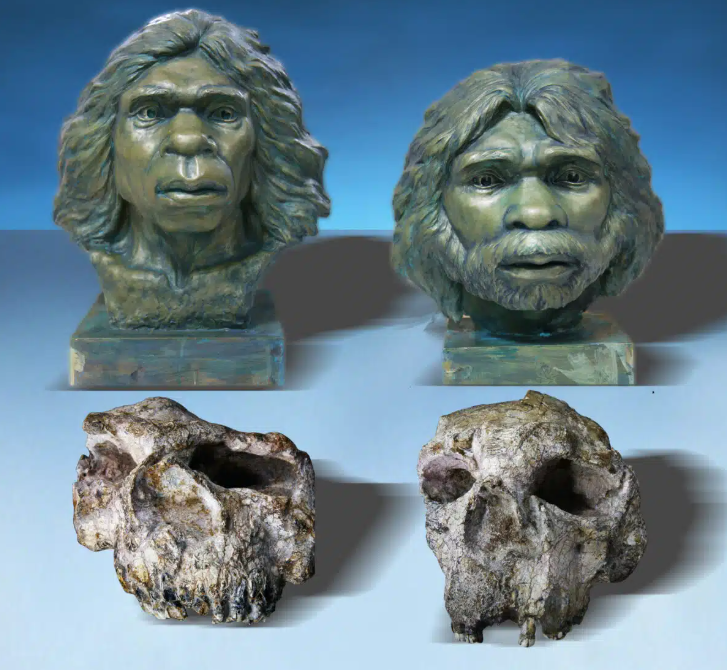 未解之谜：在直立人出现60万年之前，中国就有了古老制造石器，究竟是谁