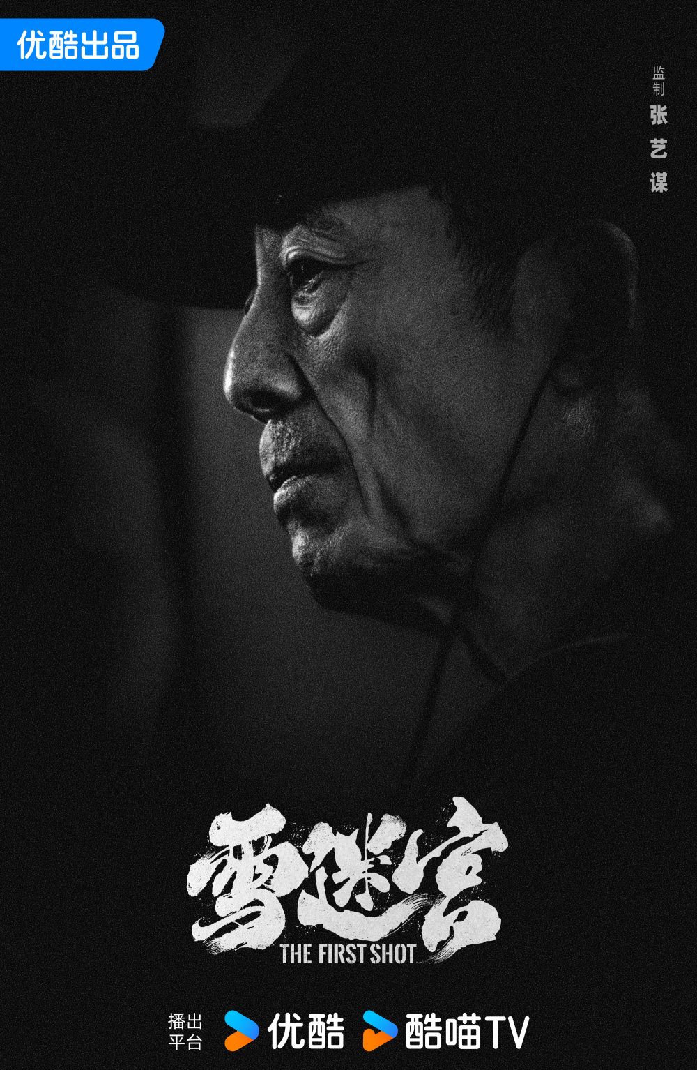 电视剧《雪迷宫》是一部有着刑侦,缉毒,悬疑等诸多元素融合的警匪剧