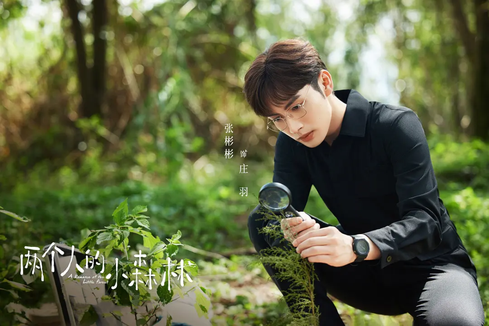 《我的人间烟火》后,张彬彬新剧演治愈暖男,毛晓彤演会计,命运十分