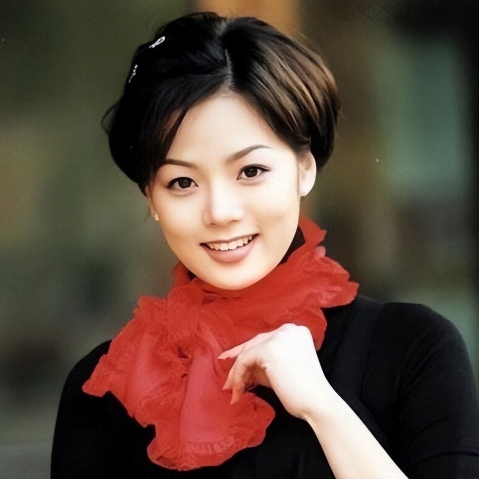 蔡琳高梓淇离婚3年后和解:找了韩国人做伴侣的明星,境况大不同