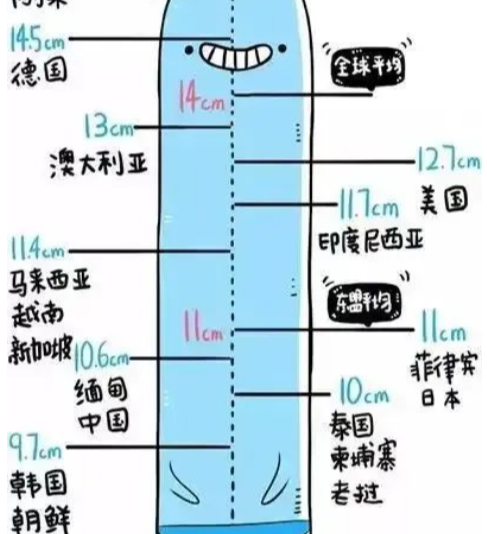 男性丁丁平均尺寸：一项全球范围内的比较研究_腾讯新闻