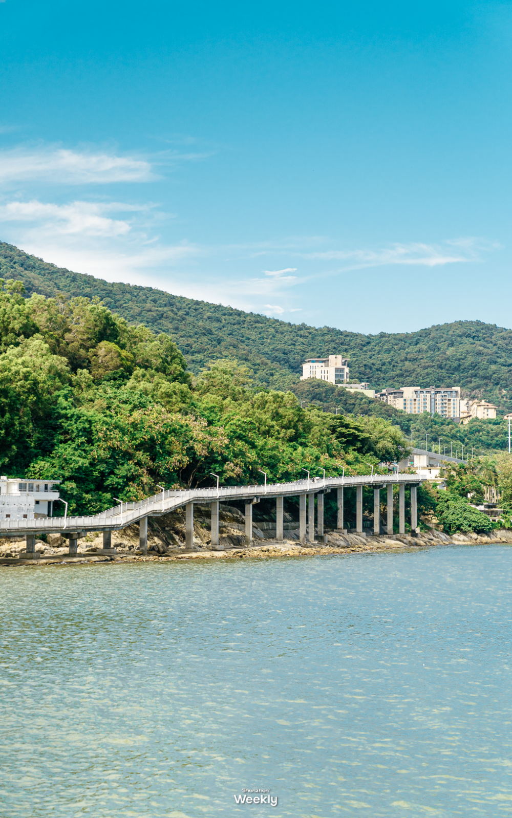 看到五一"下饺子"的大梅沙,就知道深圳人对海是真爱