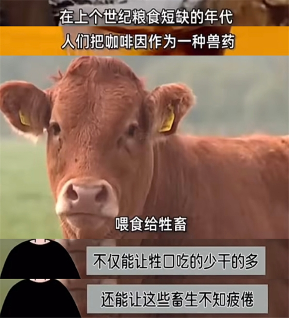 你这样不熬秃苣烟.