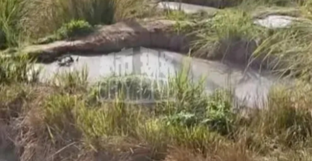 贵州黎平通报“猪场排放粪污影响环境”：省州相关专家已到现场指导开展工作缩略图