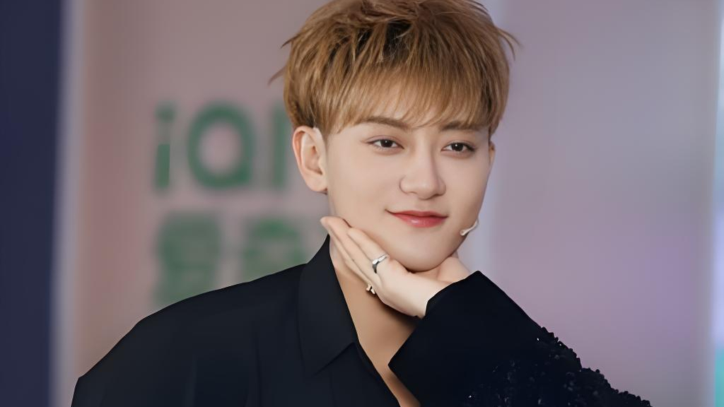 wang zitao net worth